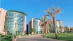 Tabuk University Arab Saudi